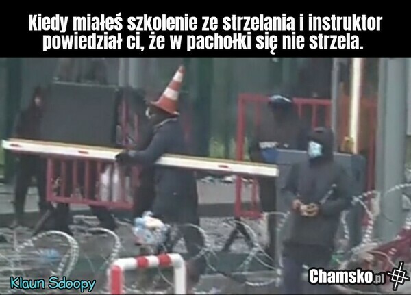 Miszcz kamuflażu.