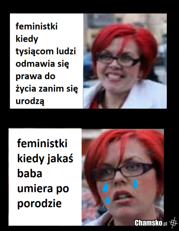 Logika feministek