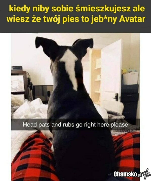 Avatar