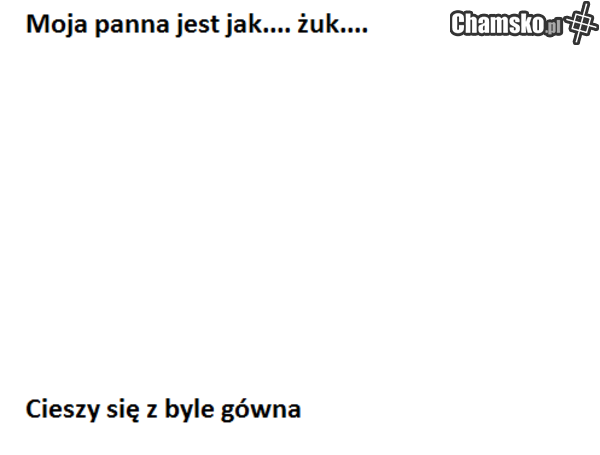 głupia cipa
