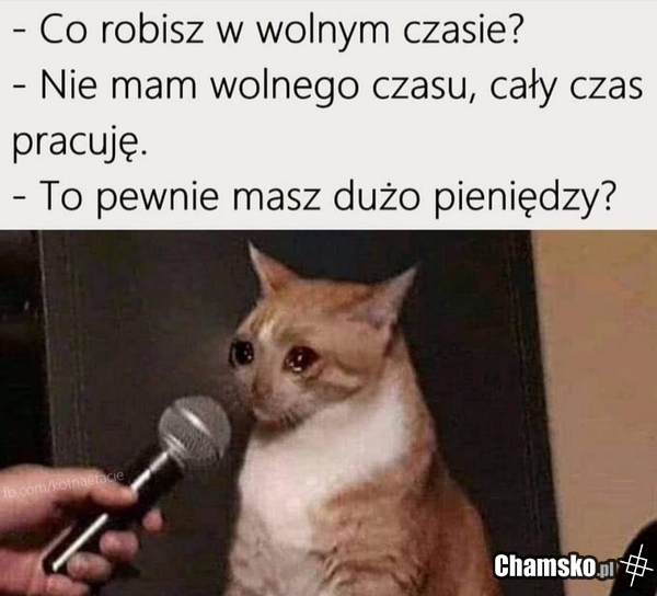 Witam