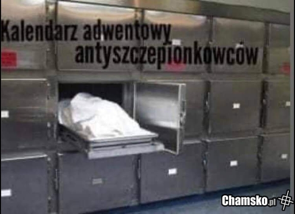 Czekoladki