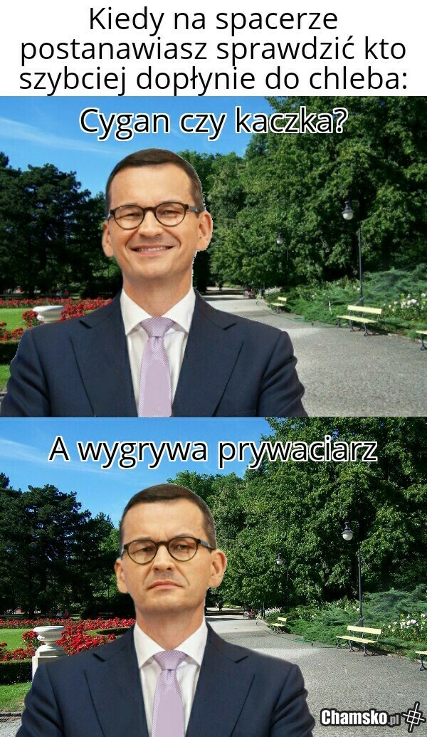 Cygan vs prywaciarz vs kaczka