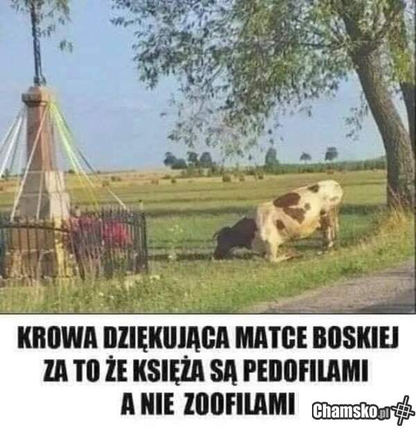 Wierna katoliczka