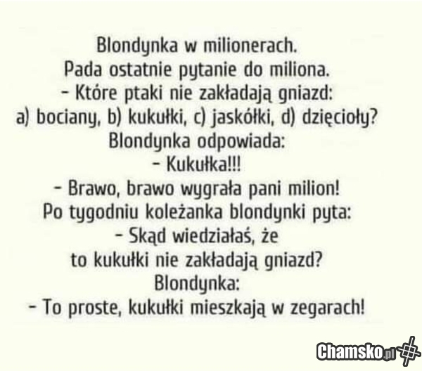 Pytanie za milion