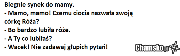 twoja stara
