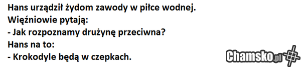 żyd i zawody
