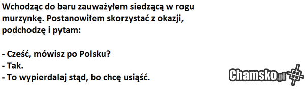W barze