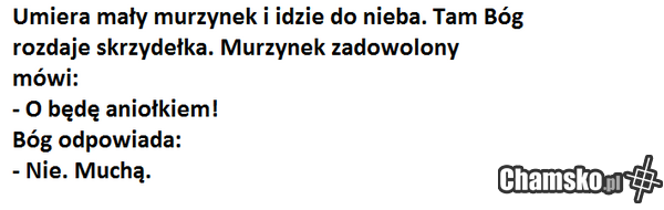 murzynek bambo