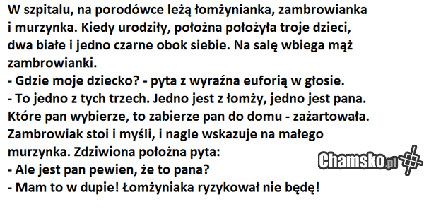 oszukać przeznaczenie