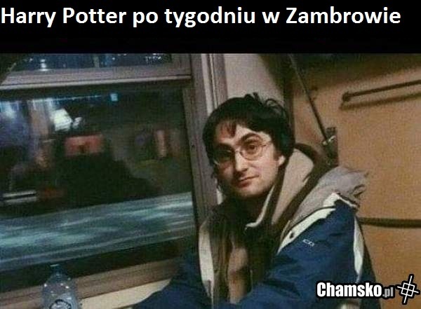 jego też dojechaliśmy
