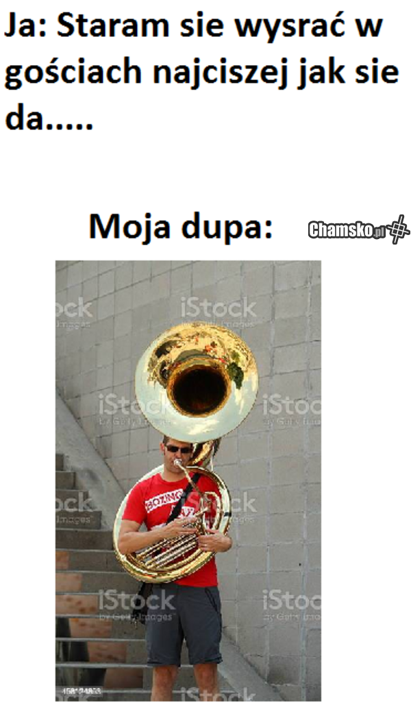 sranie u teściowej