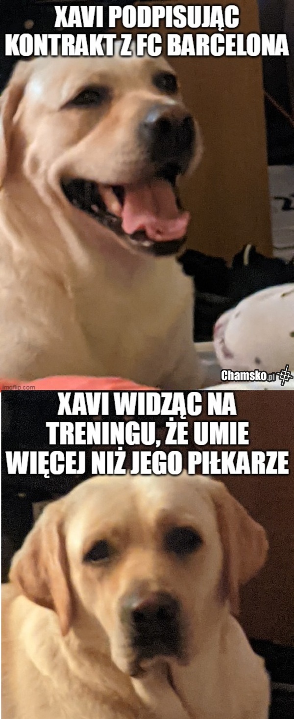 Barsa