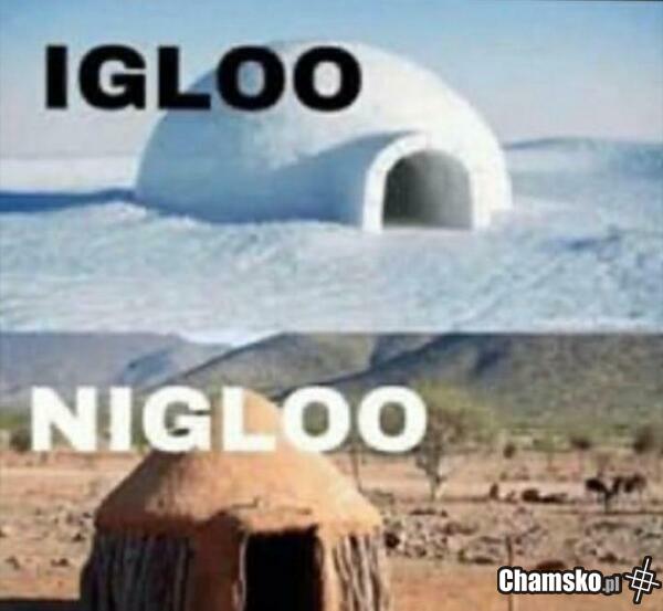 Nigloo