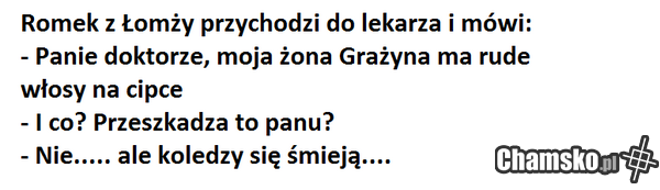 Rude włosy