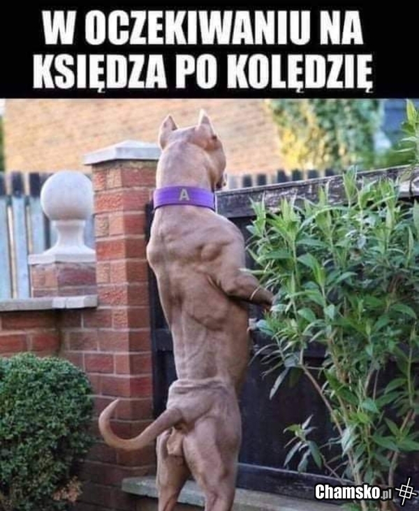 Juz niedlugo