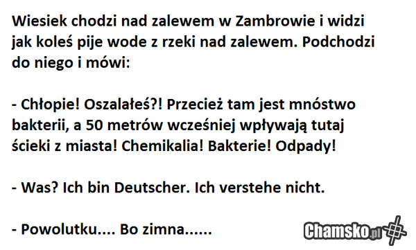 zambrowska gościnność