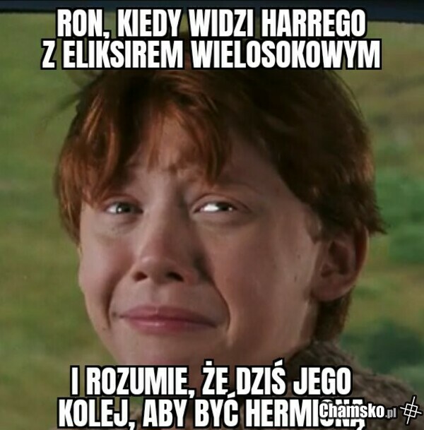 Wypoleruj mi różdżkę