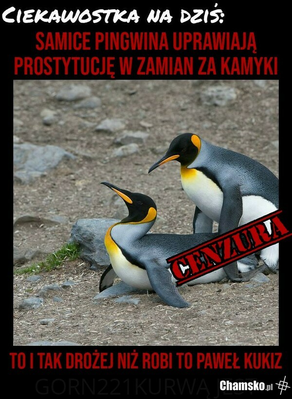 Prostytucja
