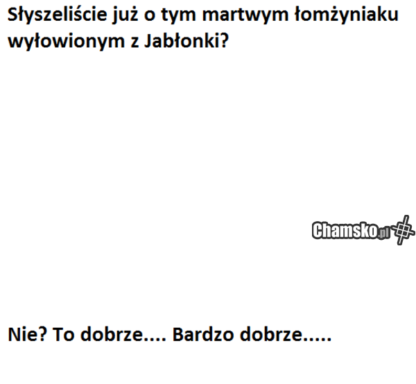 łomżyniak