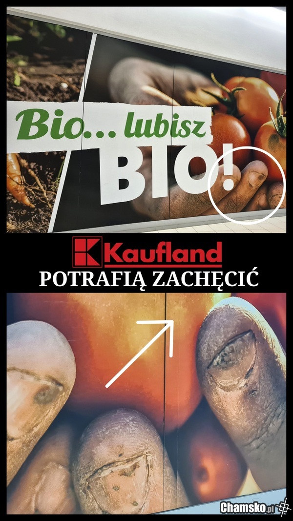 Pyszne BIO