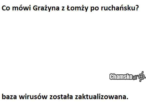 Przygody Grażyny z Łomży cz. XXI