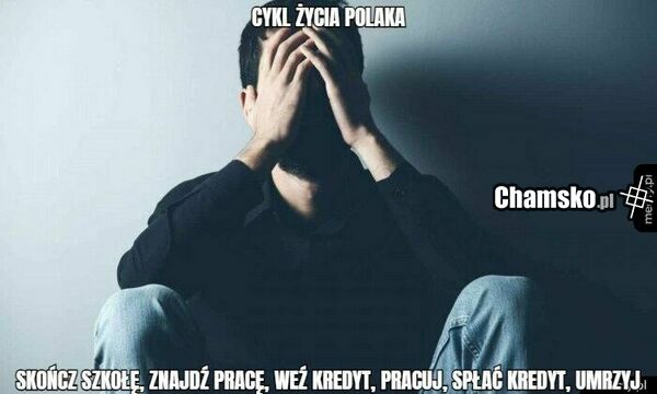 Cykl życia