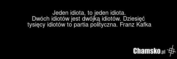 Jeden idiota, to jeden idiota. Dwóch idiotów jest dwójką idiotów. Dziesięć tysięcy idiotów to partia polityczna. Franz Kafka