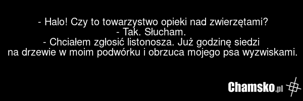 - Halo! Czy to towarzystwo opieki nad zwierzętami? - Tak. Słucham. - Chciałem zgłosić listonosza. Już godzinę siedzi na drzewie w moim podwórku i obrzuca mojego psa wyzwiskami.