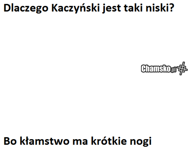 Yebać PiS