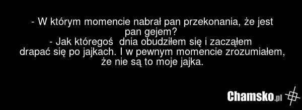 - W którym momencie nabrał pan przekonania, że jest pan gejem? - Jak któregoś dnia obudziłem się i zacząłem drapać się po jajkach. I w pewnym momencie zrozumiałem, że nie są to moje jajka.