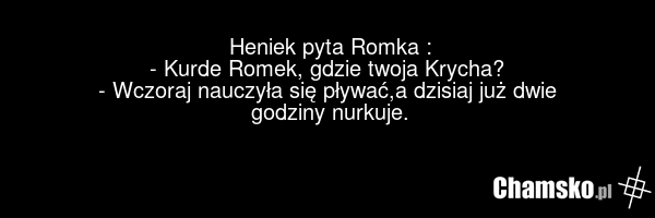 Heniek pyta Romka : - Kurde Romek, gdzie twoja Krycha? - Wczoraj nauczyła się pływać,a dzisiaj już dwie godziny nurkuje.