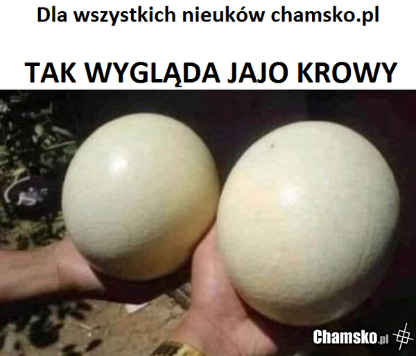 DŁUGOBÓRZ zaprasza