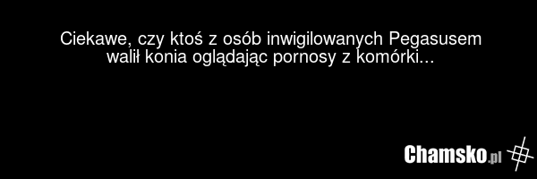Ciekawe, czy ktoś z osób inwigilowanych Pegasusem walił konia oglądając pornosy z komórki...