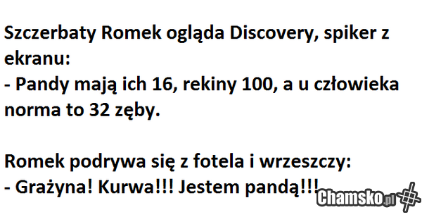 Przygody Romka z Łomży cz. LXXII