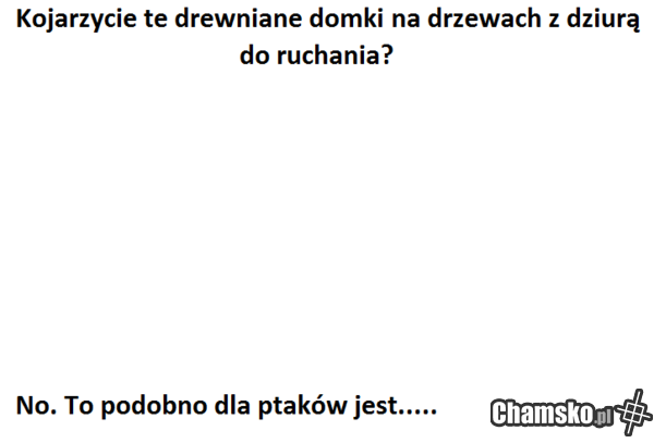 Domki