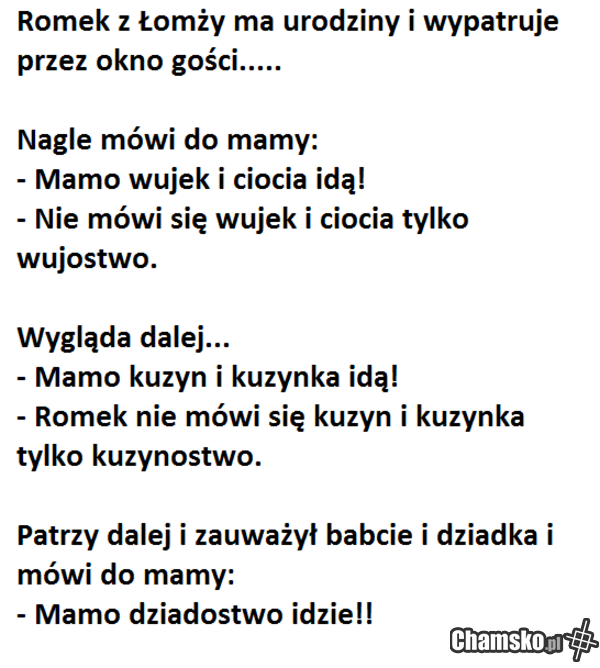 Przygody Romka z Łomży cz. LXXIII