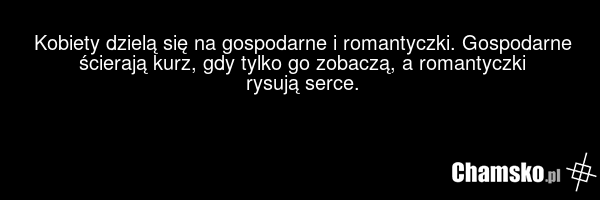 Kobiety dzielą się na gospodarne i romantyczki. Gospodarne ścierają kurz, gdy tylko go zobaczą, a romantyczki rysują serce.