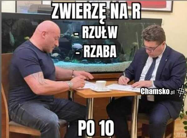 mistrz świata KFC