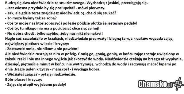 zając