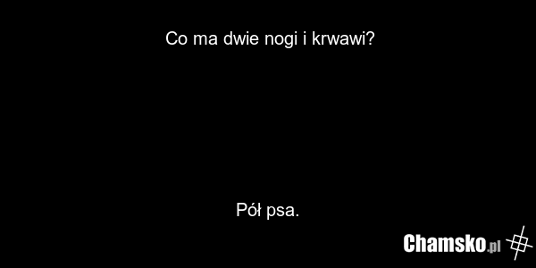 Co ma dwie nogi i krwawi? Pół psa.