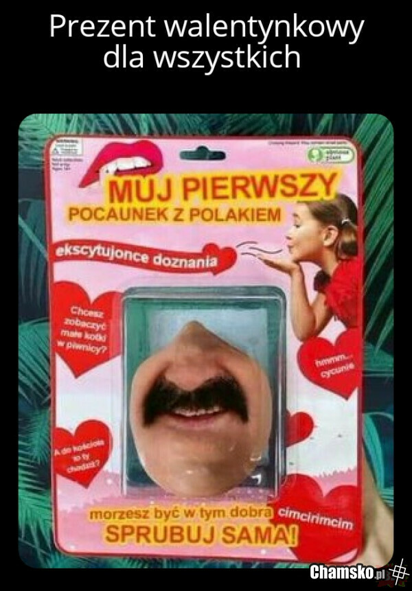 Polok