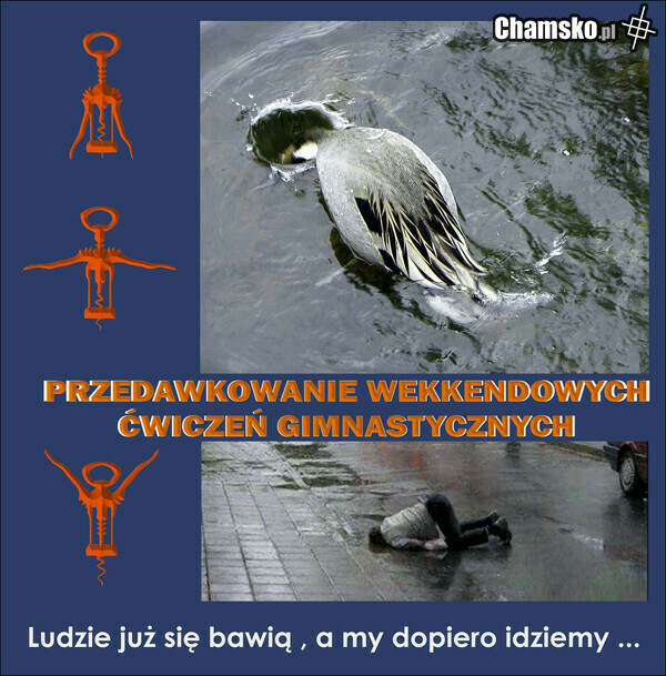 Ćwiczenia