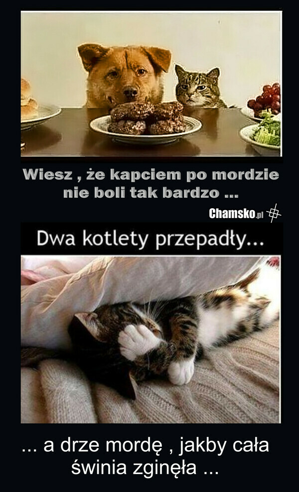 Kotlety