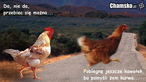 Rozterka