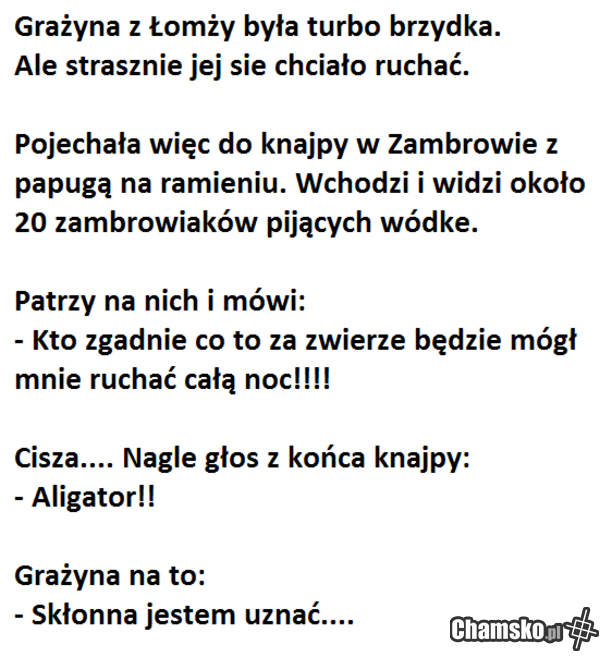 Przygody Grażyny z Łomży cz. XXXII