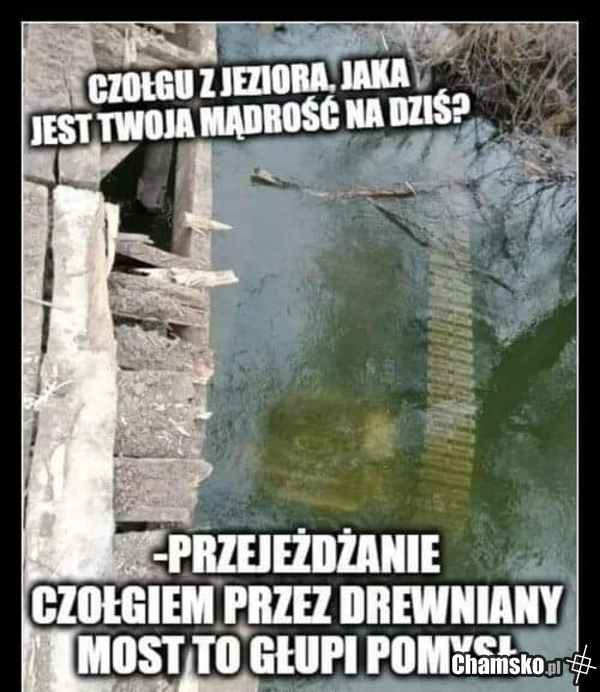 Rada na dziś