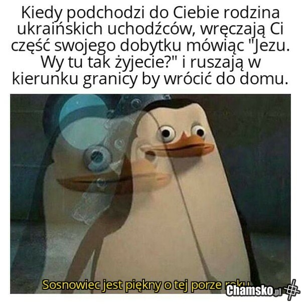 Polski Ład w Sosnowcu