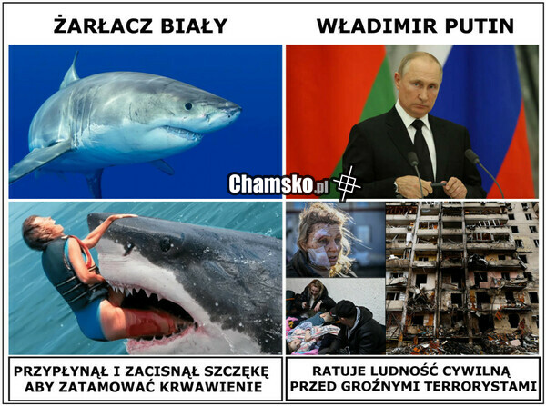 Pomoc