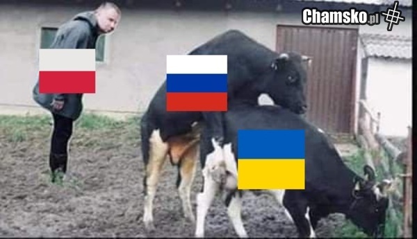 xDD